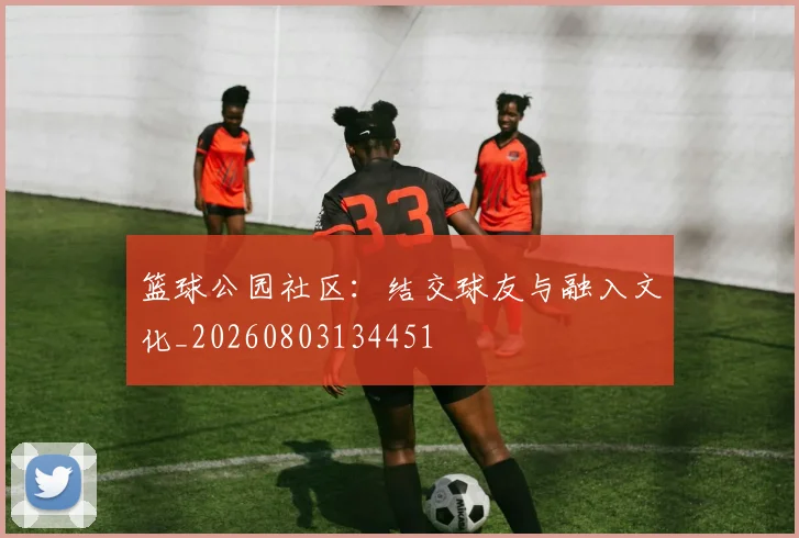 篮球公园社区：结交球友与融入文化_20260803134451
