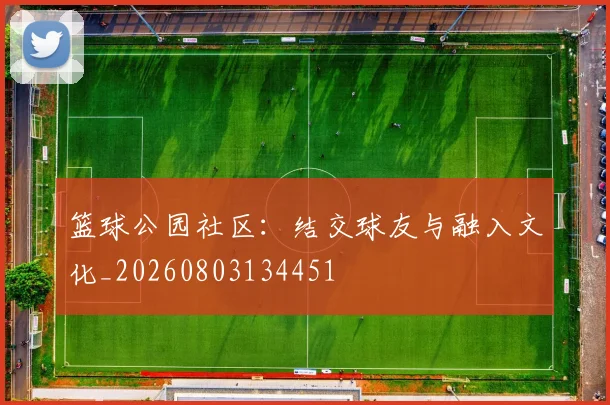篮球公园社区:结交球友与融入文化_20260803134451